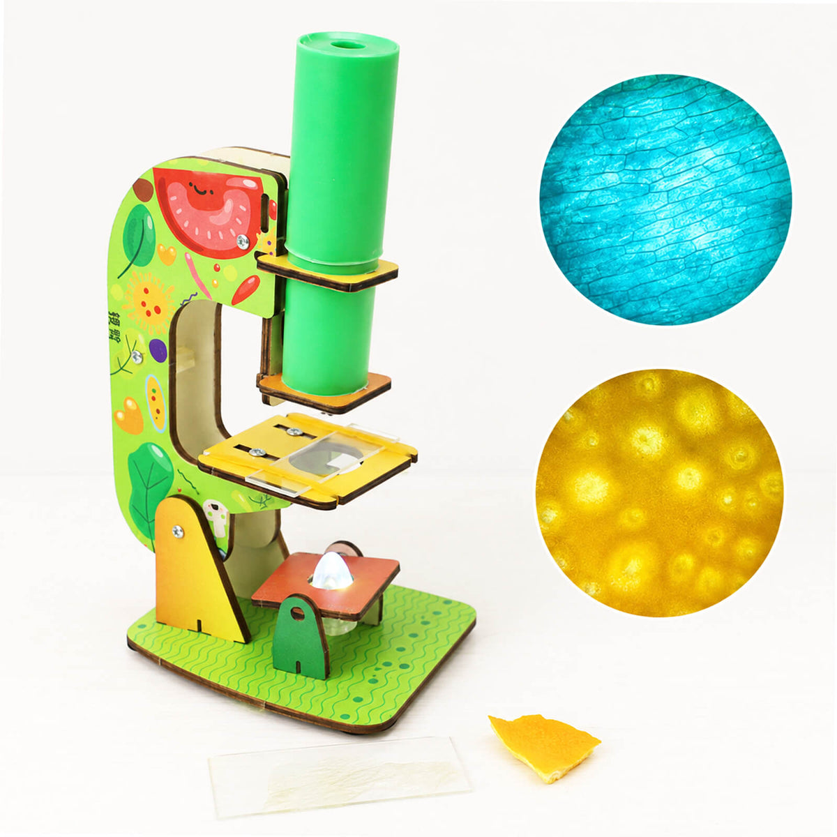 DIY Science Observation Kit