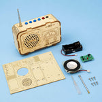 DIY FM Radio Kit Build a Real Working Radio