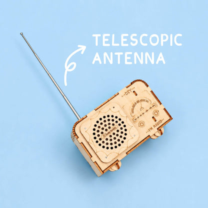 DIY FM Radio Kit Build a Real Working Radio