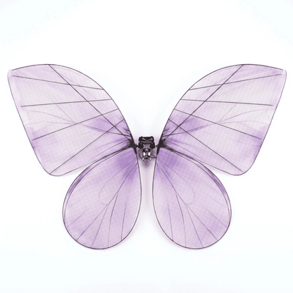 Bionic Butterfly RC Drone with LED Lights & Storage Case
