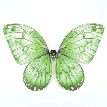 Bionic Butterfly RC Drone with LED Lights & Storage Case
