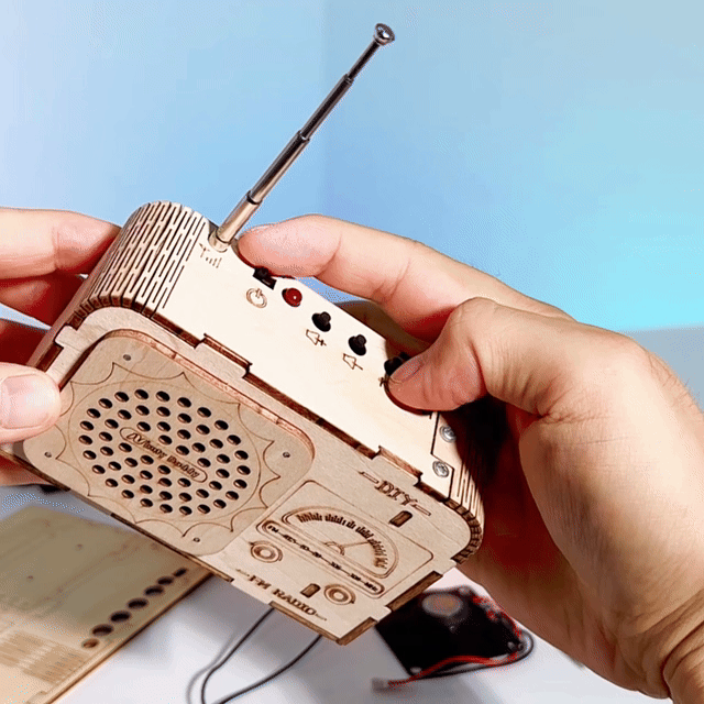 DIY FM Radio Kit Build a Real Working Radio