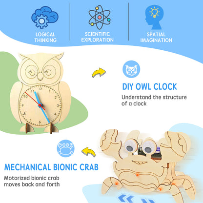 6-in-1 Moving Animal STEM Kit