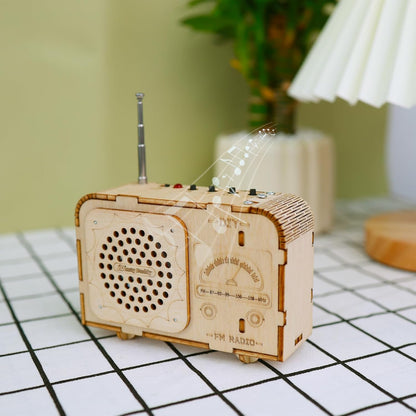 DIY FM Radio Kit, Build Your Own FM Radio，Wooden 3D Puzzles Building Educational Learning Toys，Stem Toys for Boys & Girls