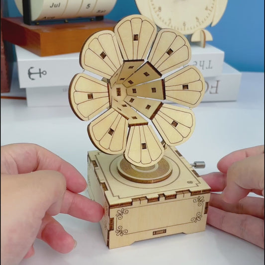 DIY Hand-Crank Wooden Gramophone Music Box image 2