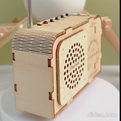 DIY FM Radio Kit Build a Real Working Radio