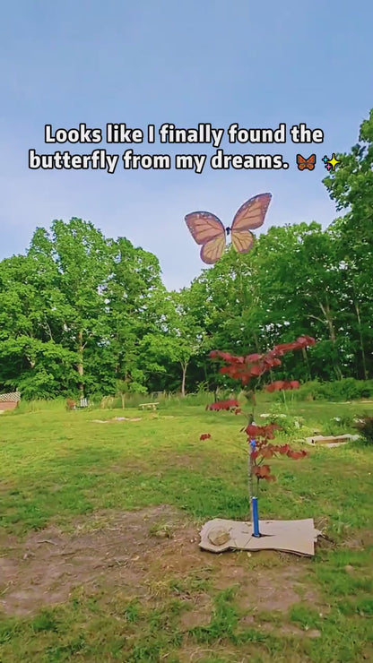 Bionic Butterfly RC Drone with LED Lights & Storage Case
